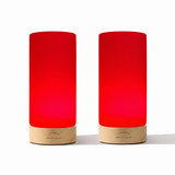 2 Tall Lamps